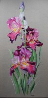 /album/jacqueline-legendre-huiles-sur-lin/a14-iris-sur-toile-de-lin-50-x-100-comp-jpg/